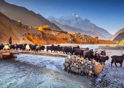 VándorLáss – Annapurna-kör, magashegyi gyalogtúra Nepálban – 2023. április 8-26.