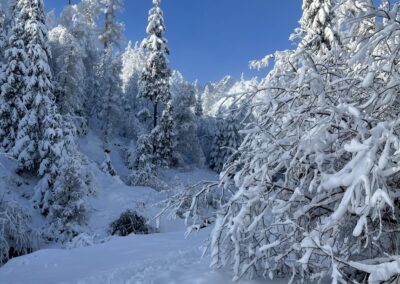 Magas-Tátra télen – menedékházak, vízesések – 2024. december 12-14.