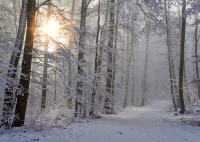 Téli elvonulás az erdőben – 2026. január 8-11.
